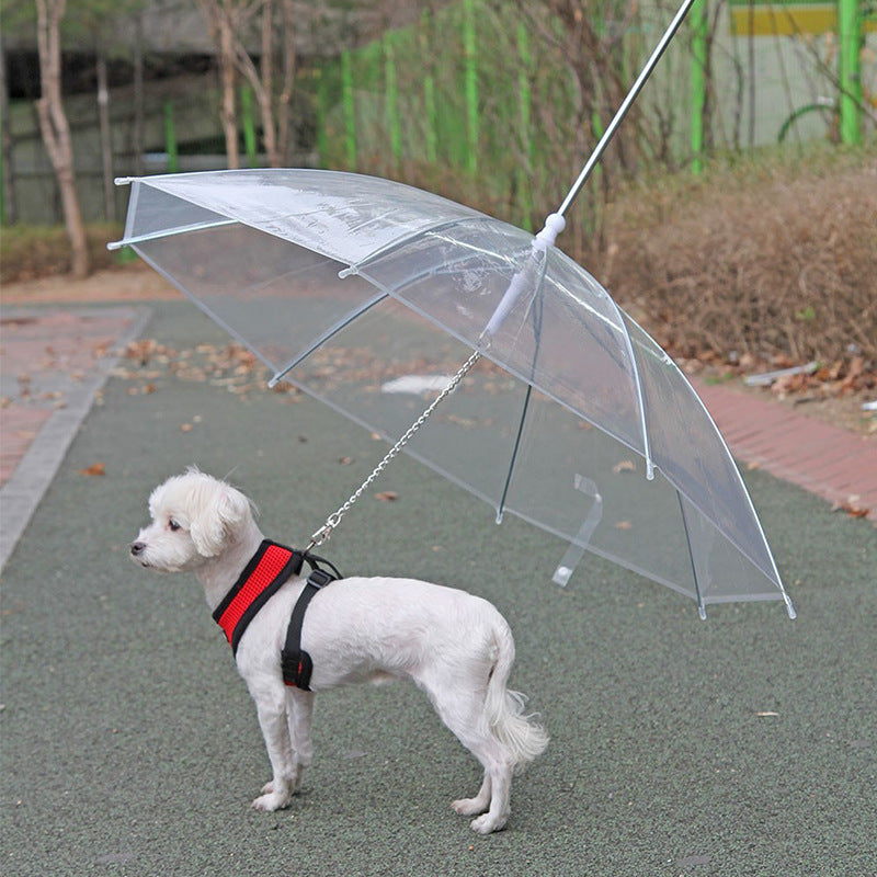 Raincoat with Dog Leash